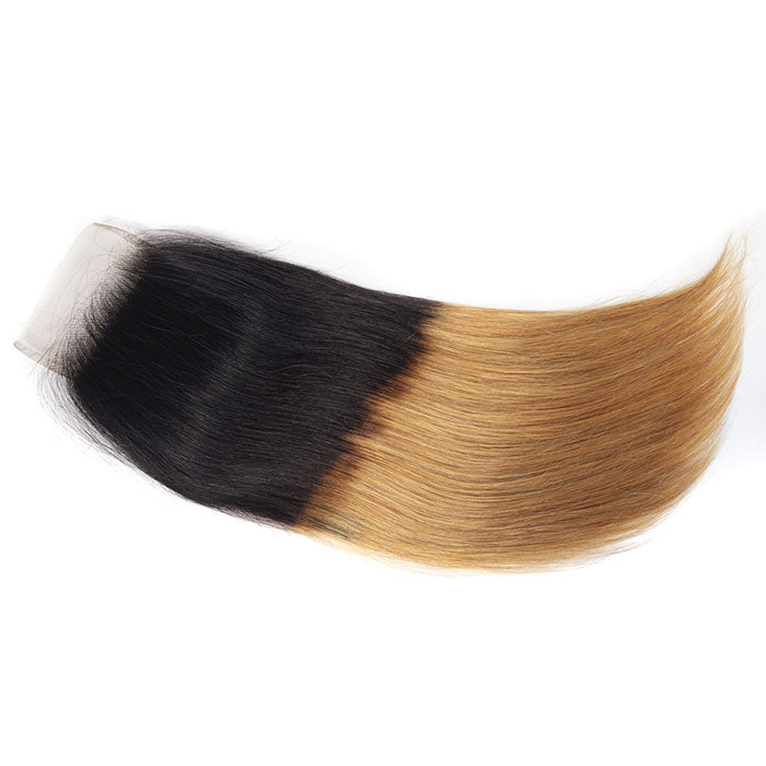 Emma Ombre Blonde Color 4x4 Lace Closure Pre Plucked Human Hair