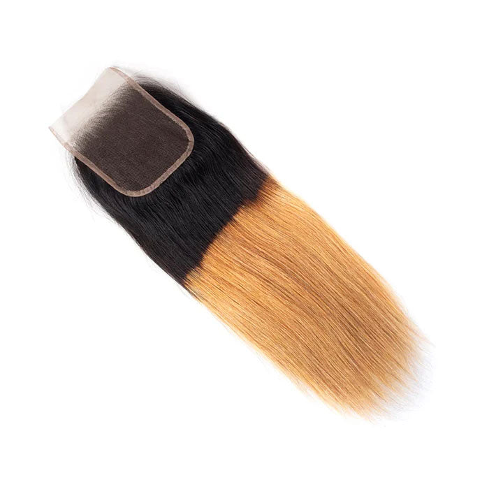 Emma Ombre Blonde Color 4x4 Lace Closure Pre Plucked Human Hair