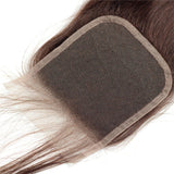 Emma Silky Straight 4x4 Lace Closure Brown Color Human Hair